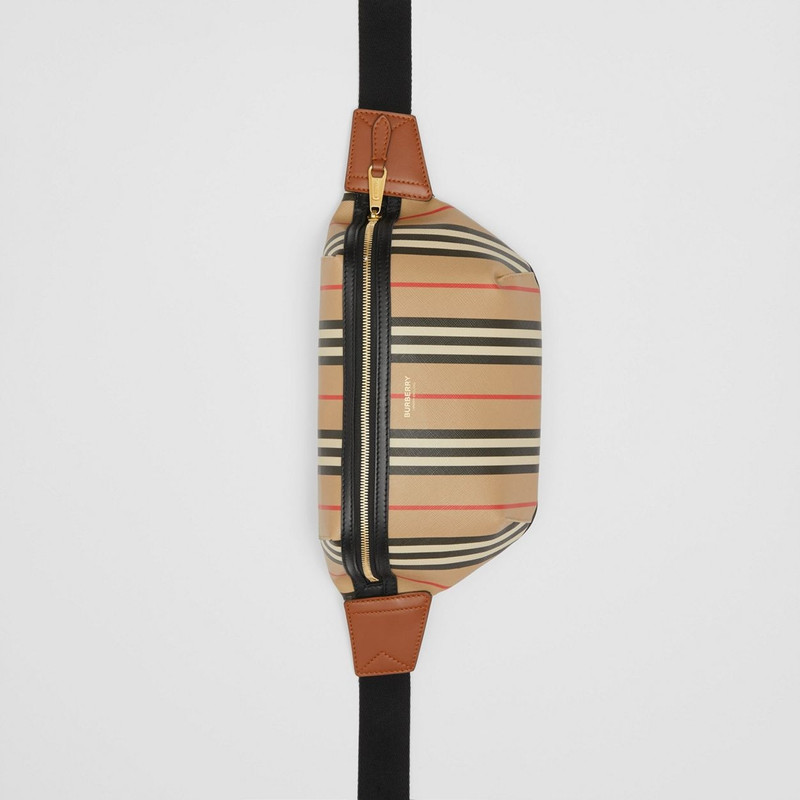 Icon Stripe Sonny Bum Bag 5