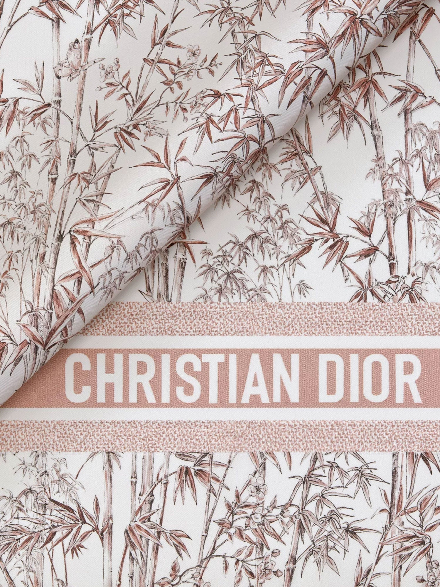 Dior Women Toile De Jouy Natura Silk Foulard - 2