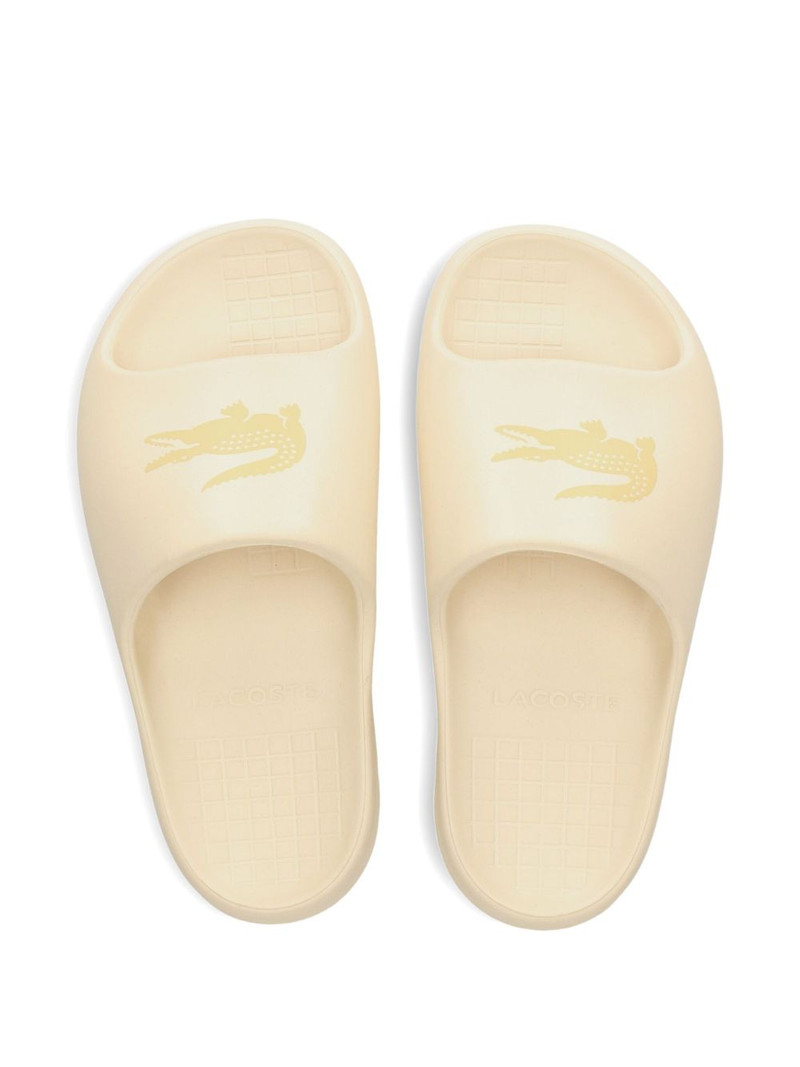 crocodile-logo platform slides 4