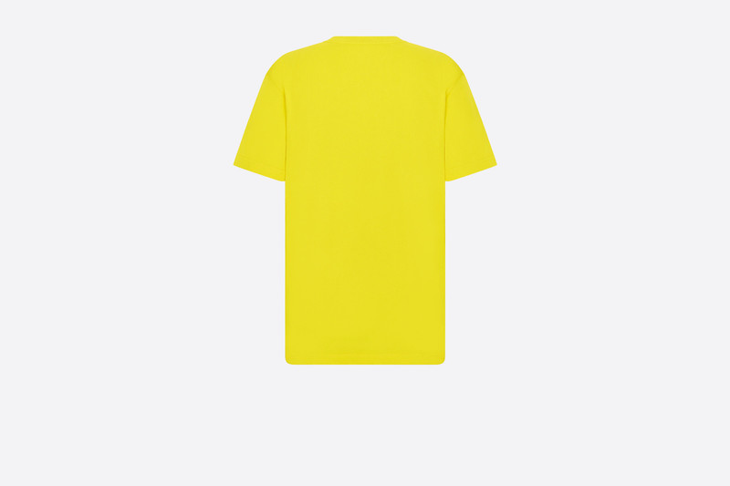 Dior Oversized DIOR AND PETER DOIG T-Shirt outlook