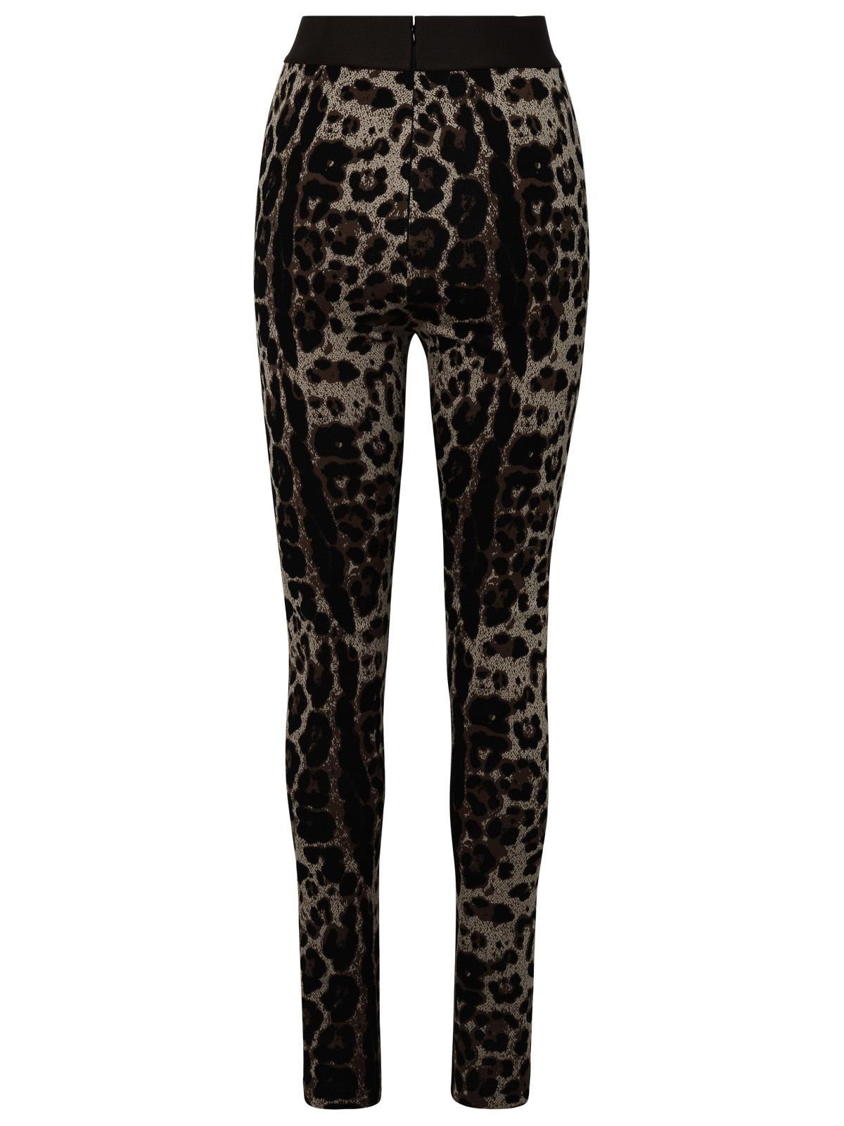 Dolce & Gabbana Brown Jersey Leggings - 3