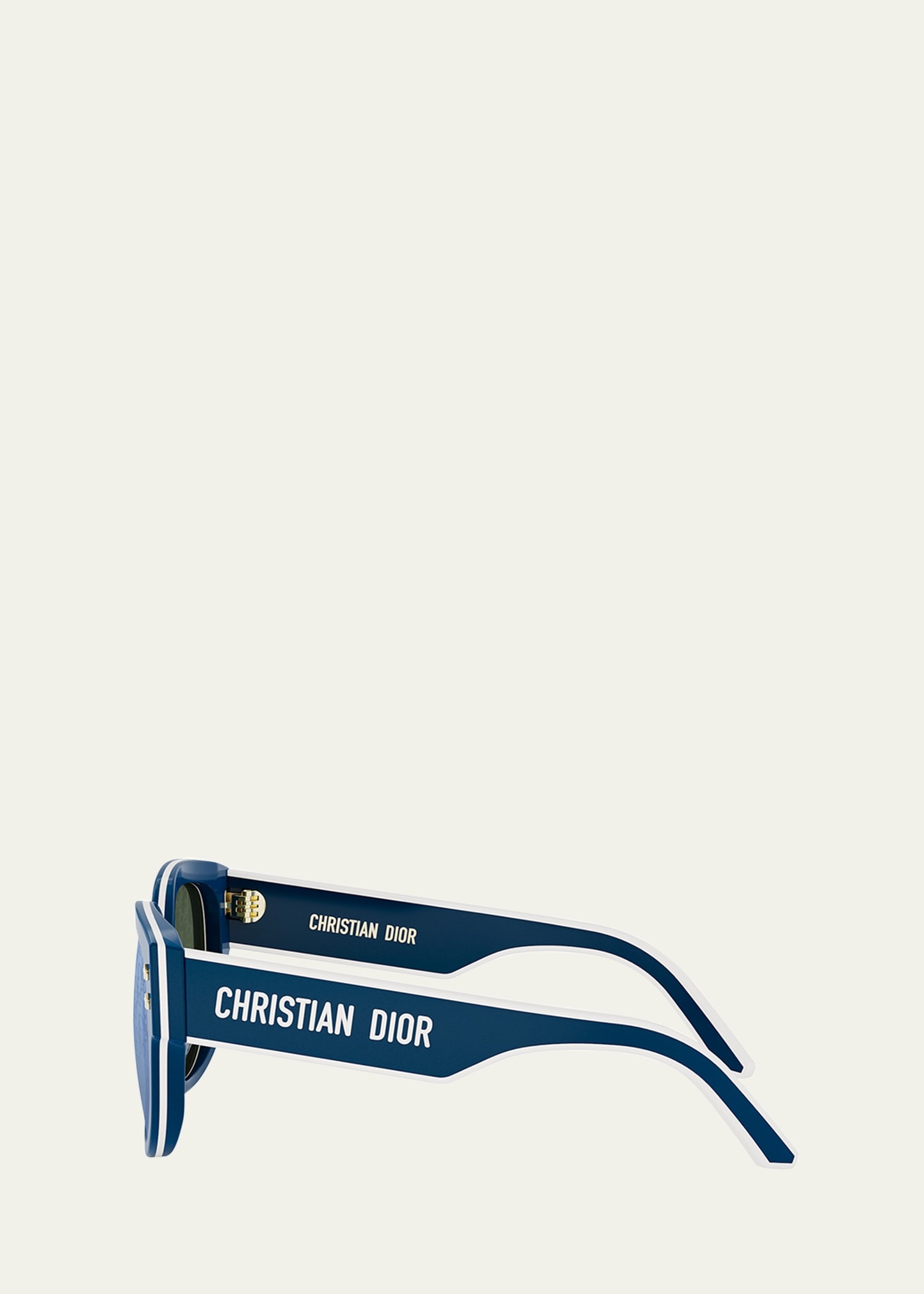DiorPacific Acetate Butterfly Sunglasses - 3