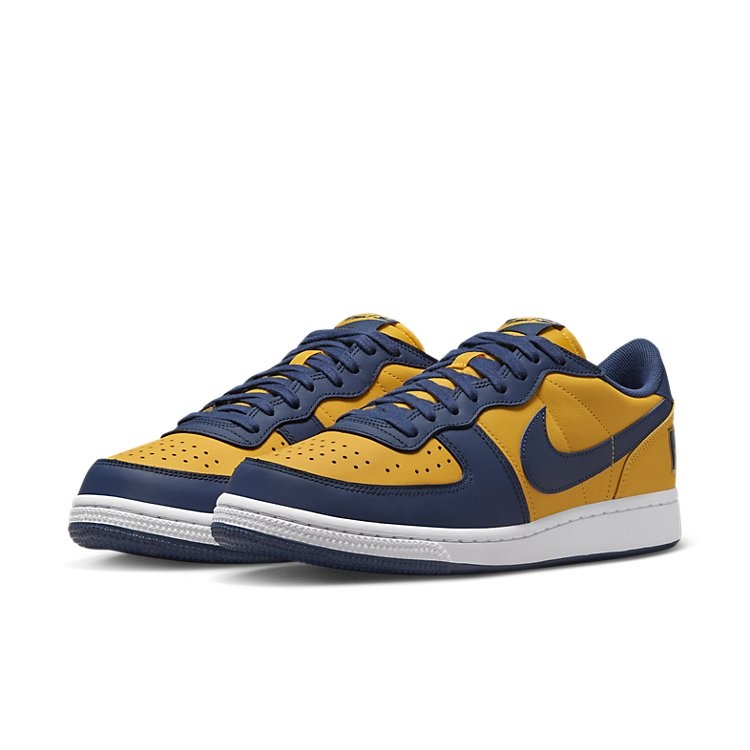 Nike Terminator Low 'Michigan' FJ4206-700 - 2