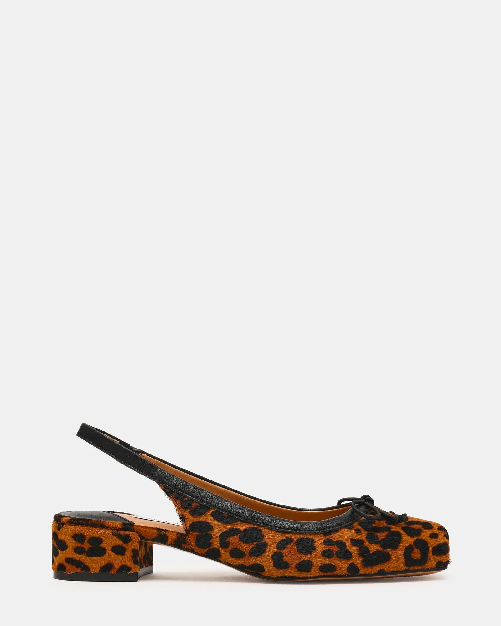 LOVED LEOPARD - 1