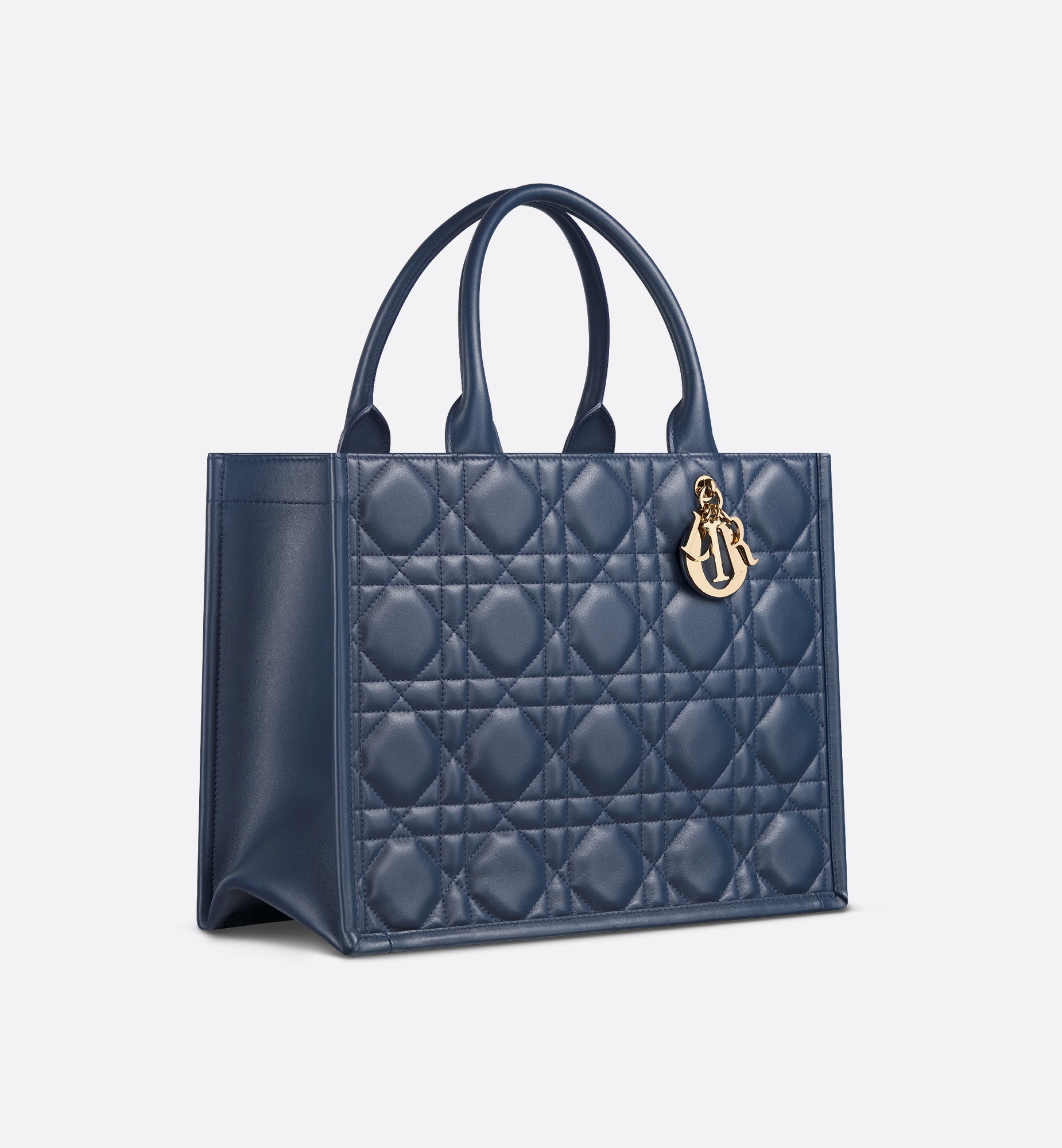 Medium Dior Book Tote - 2