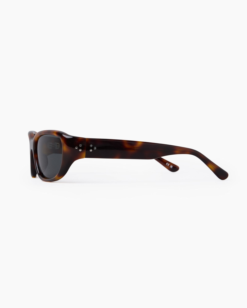 The Matteo Sunglasses 5