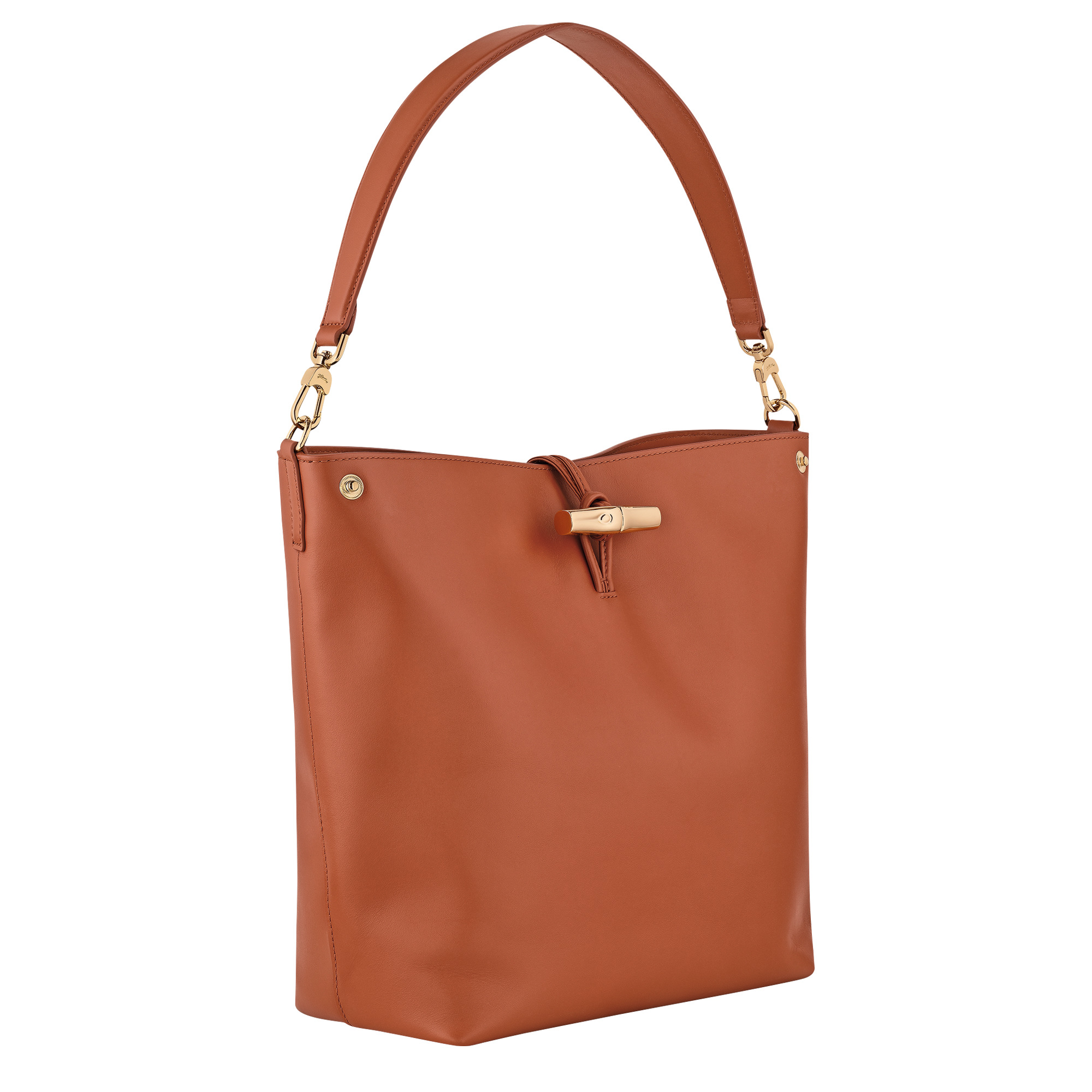 Le Roseau M Hobo bag Bark - Leather - 3