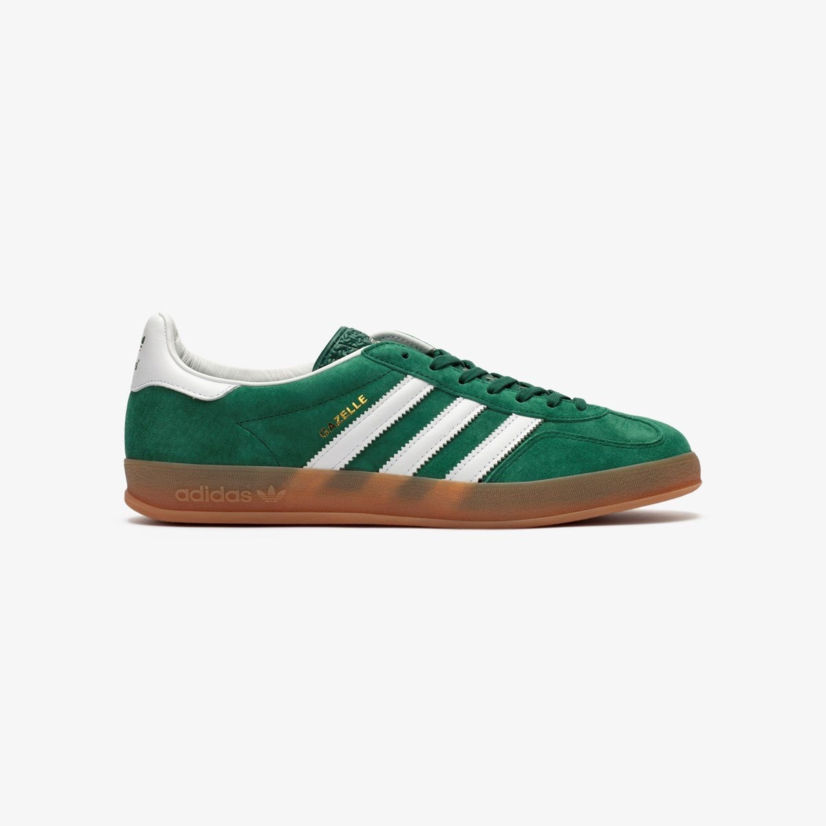 Gazelle Indoor - 1