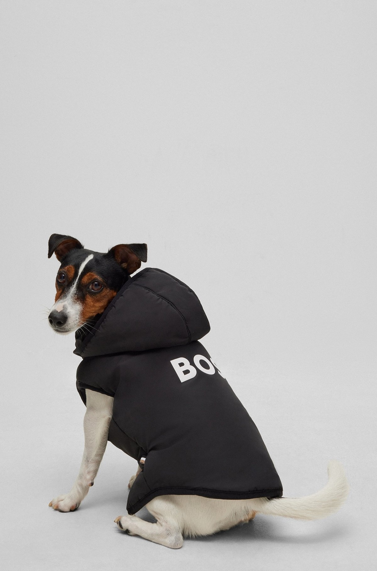 DOG LIGHTWEIGHT JACKET WITH LOGO DETAILING - 2