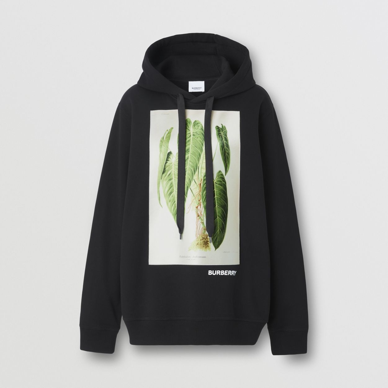 Botanical Sketch Print Cotton Oversized Hoodie - 1