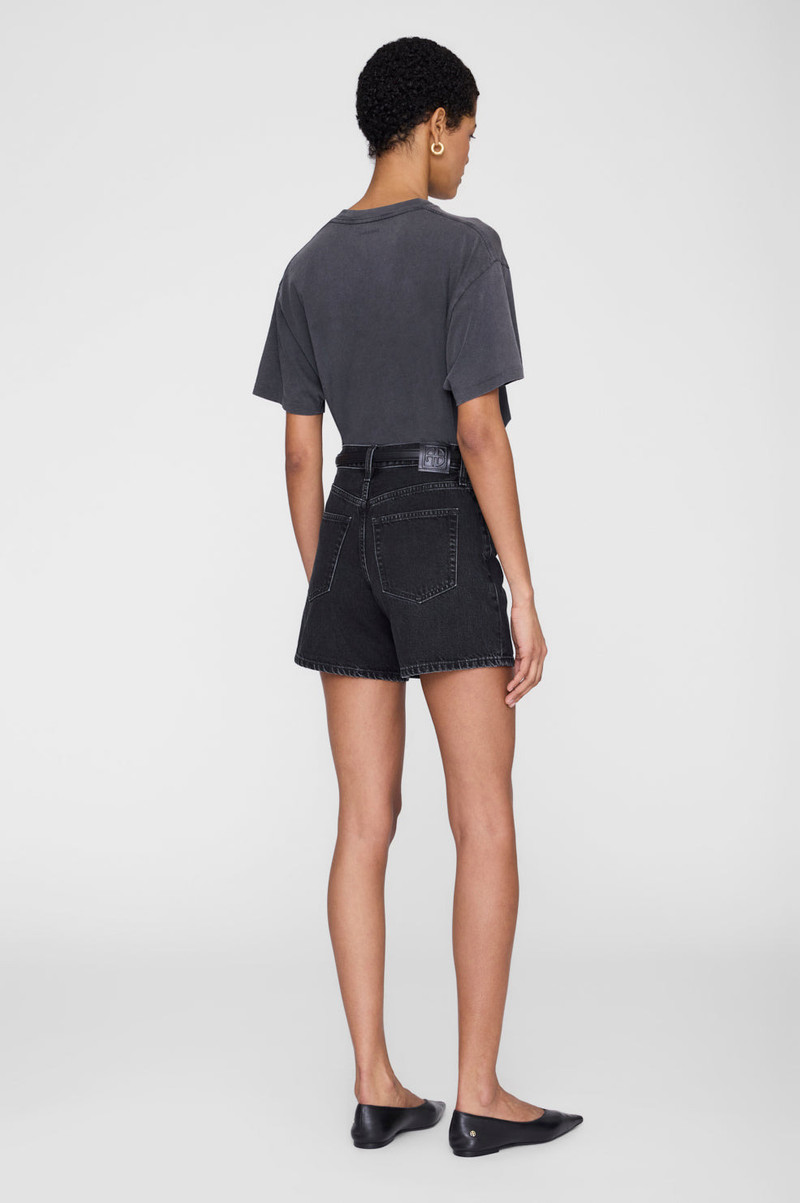 ANINE BING Cade Tee Palms - Washed Grey outlook