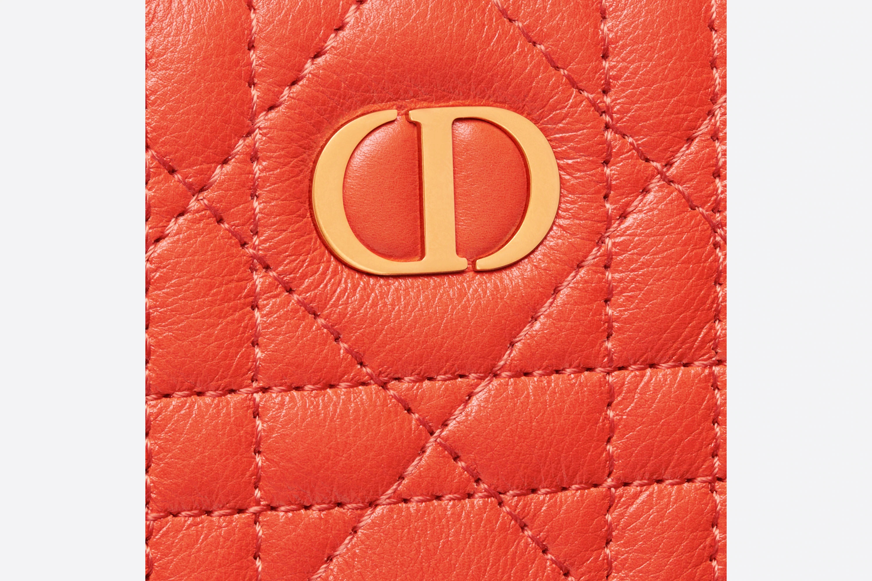 Dior Caro Detachable Card Holder - 4