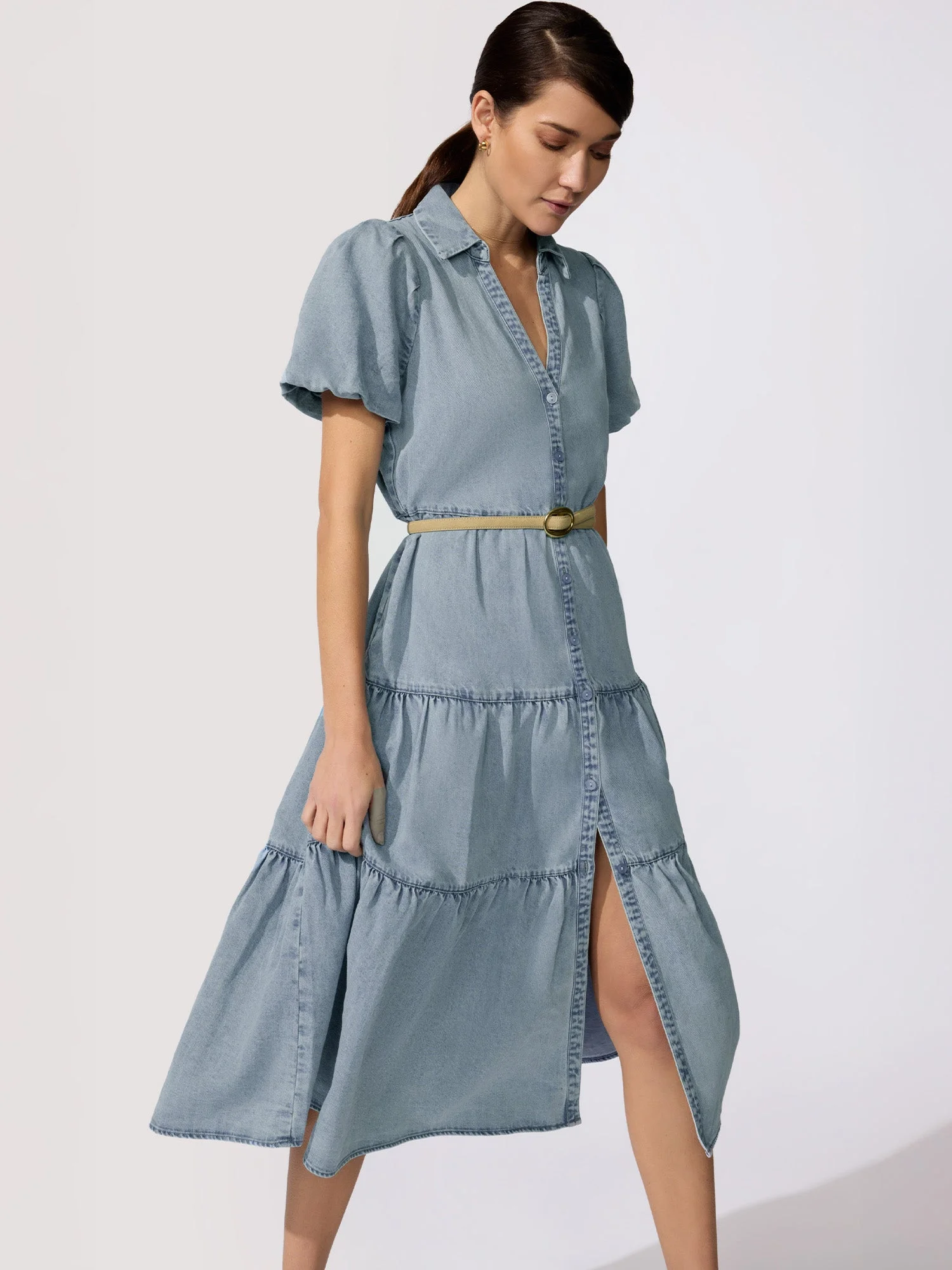 The Havana Denim Dress - 1