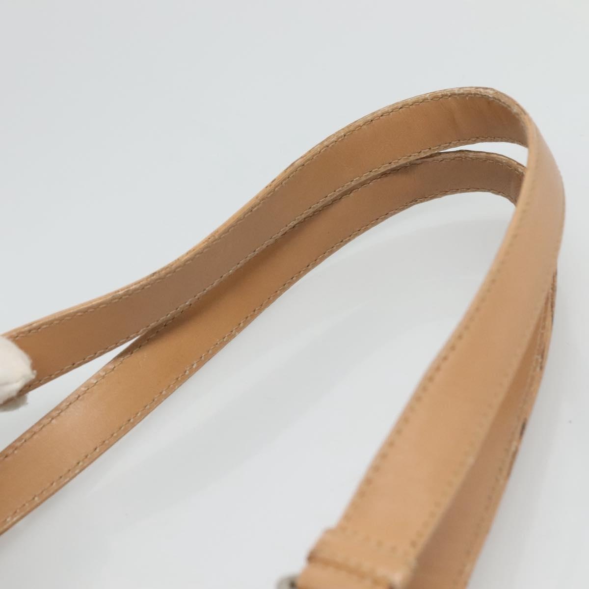 DIOR Trotter Canvas Tote Bag Brown Beige Silver - 8