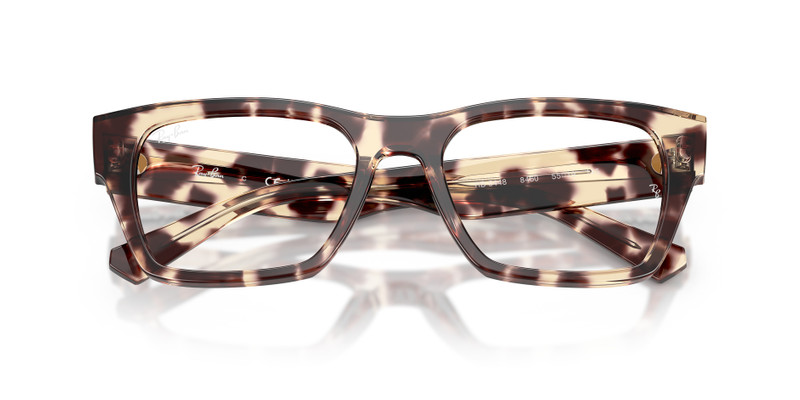 Ray-Ban RB5448 OPTICS outlook