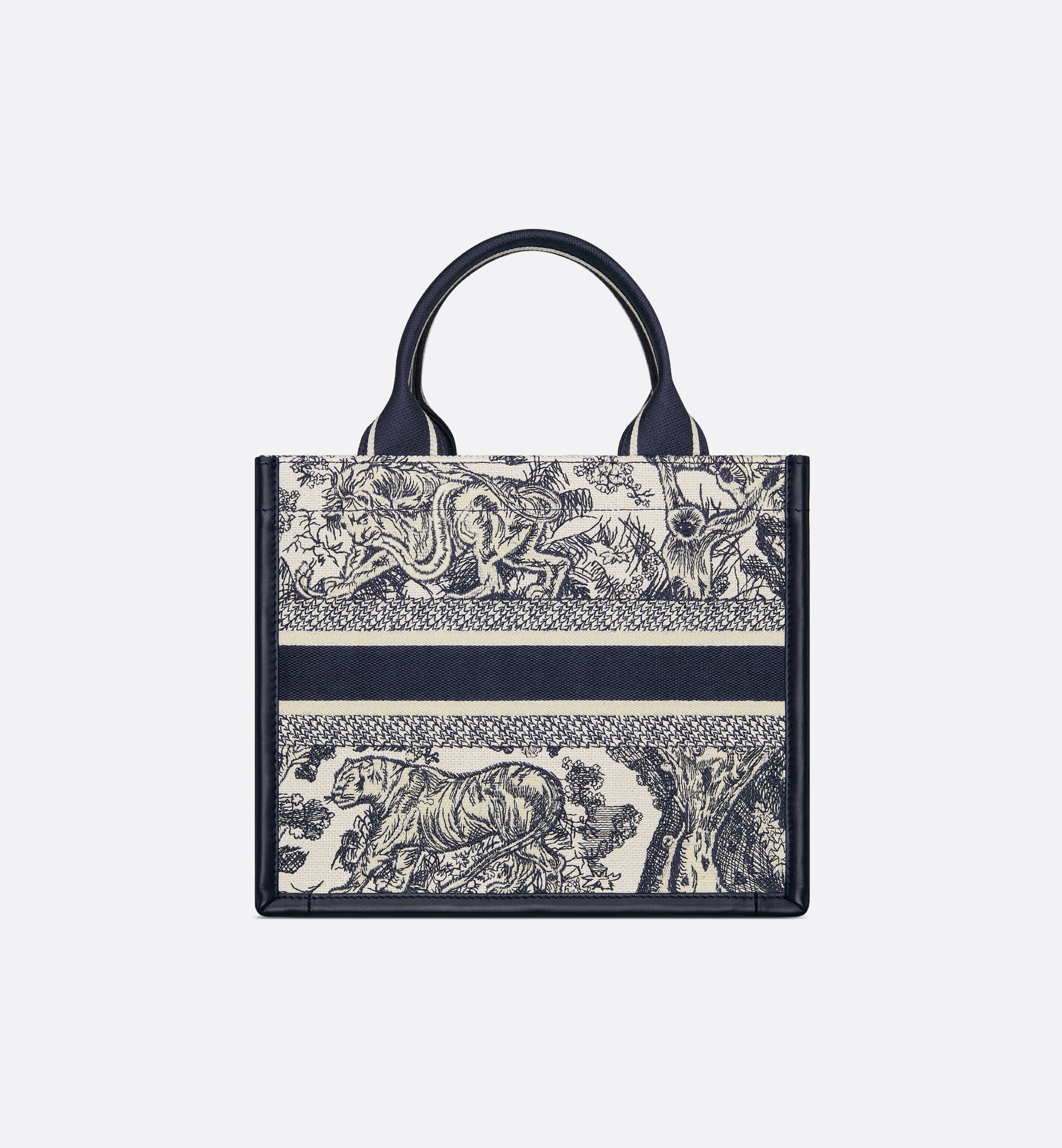 Small Dior Book Tote - 2