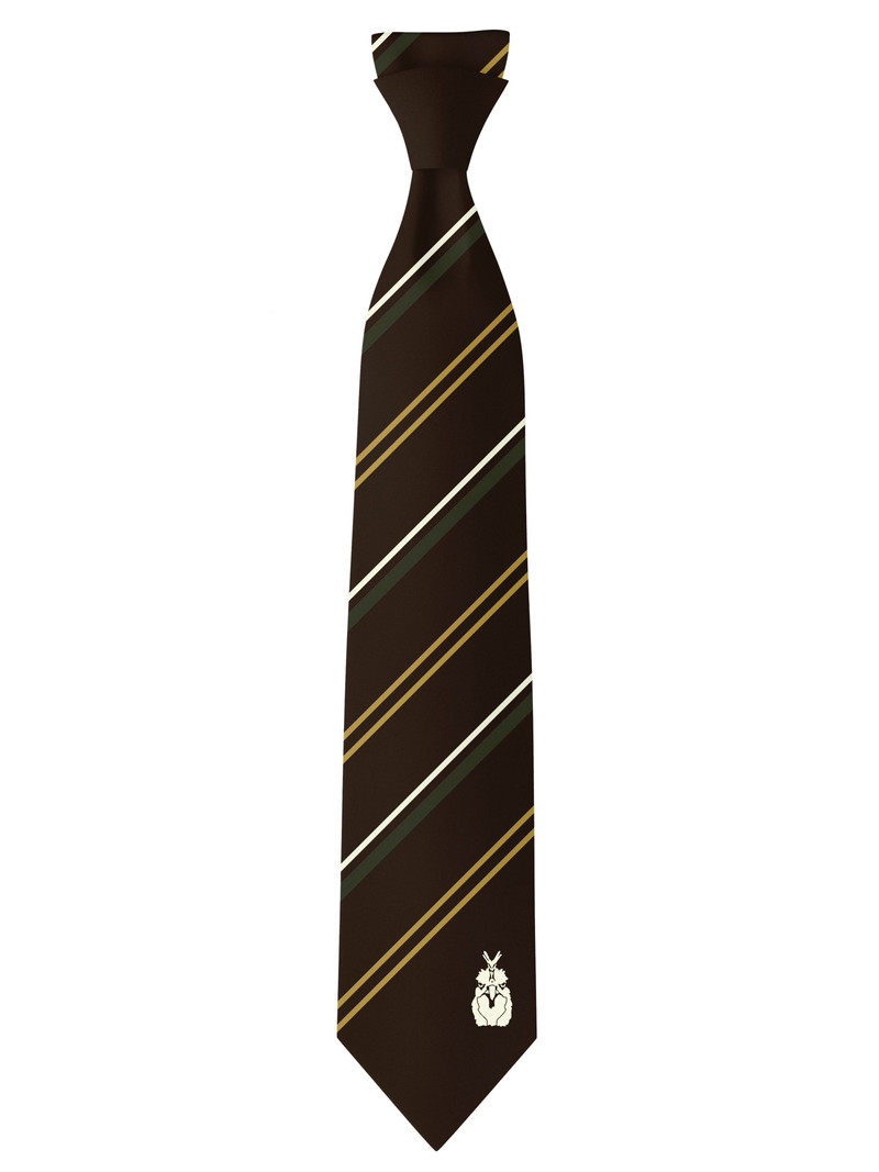 CHICKEN TIE - BROWN 1