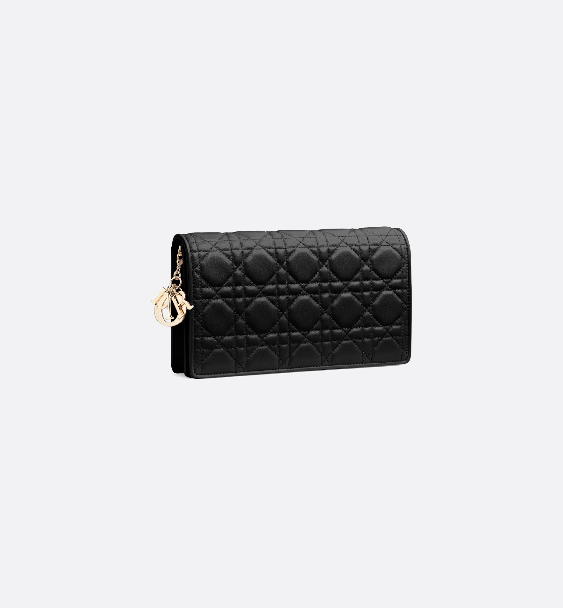 Lady Dior Pouch - 2