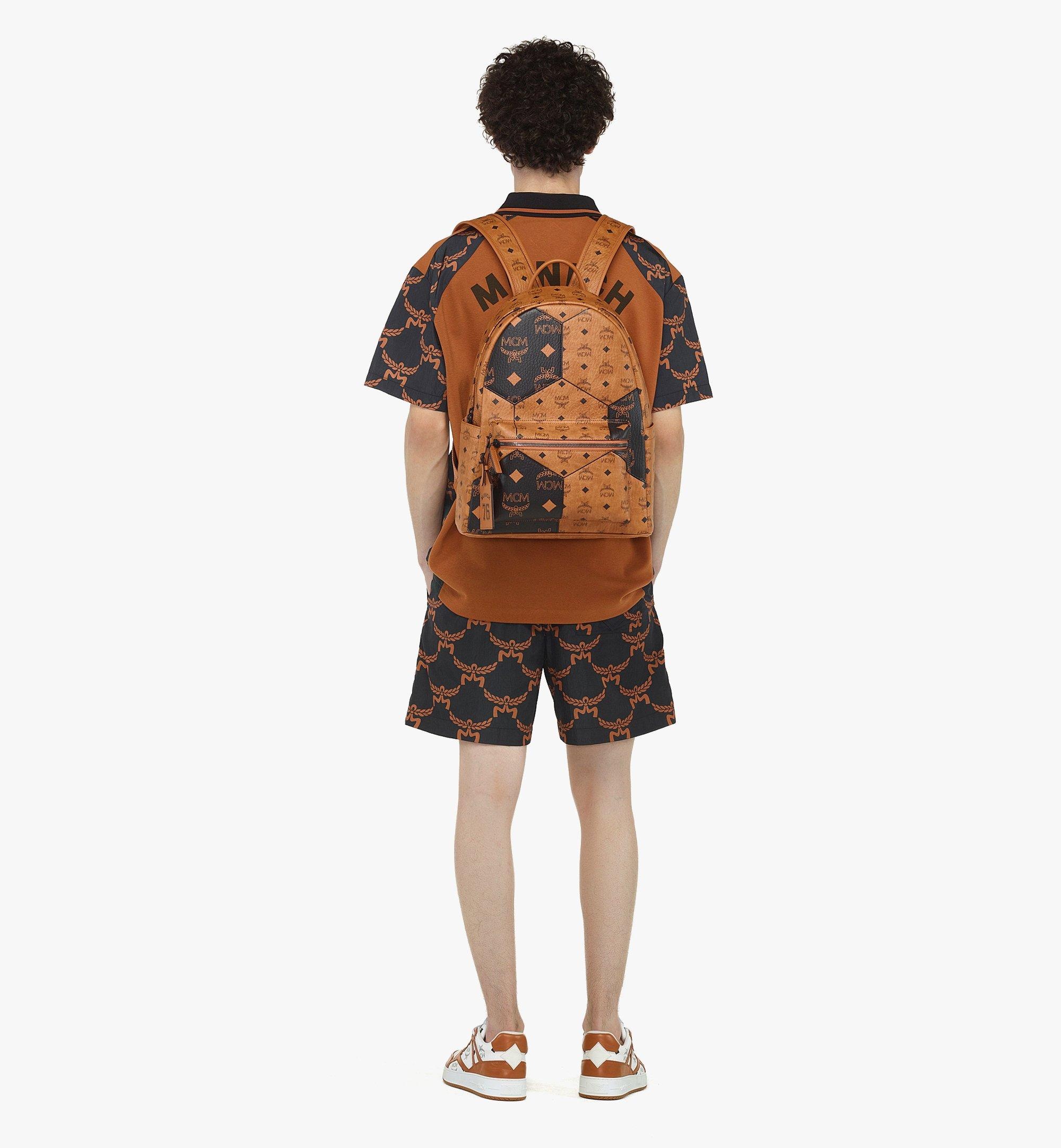 Stark Backpack in Visetos Mix - 7