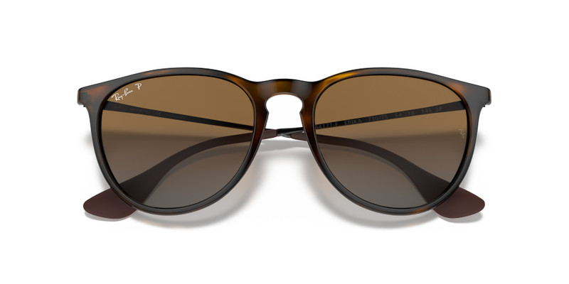 Ray-Ban ERIKA CLASSIC outlook