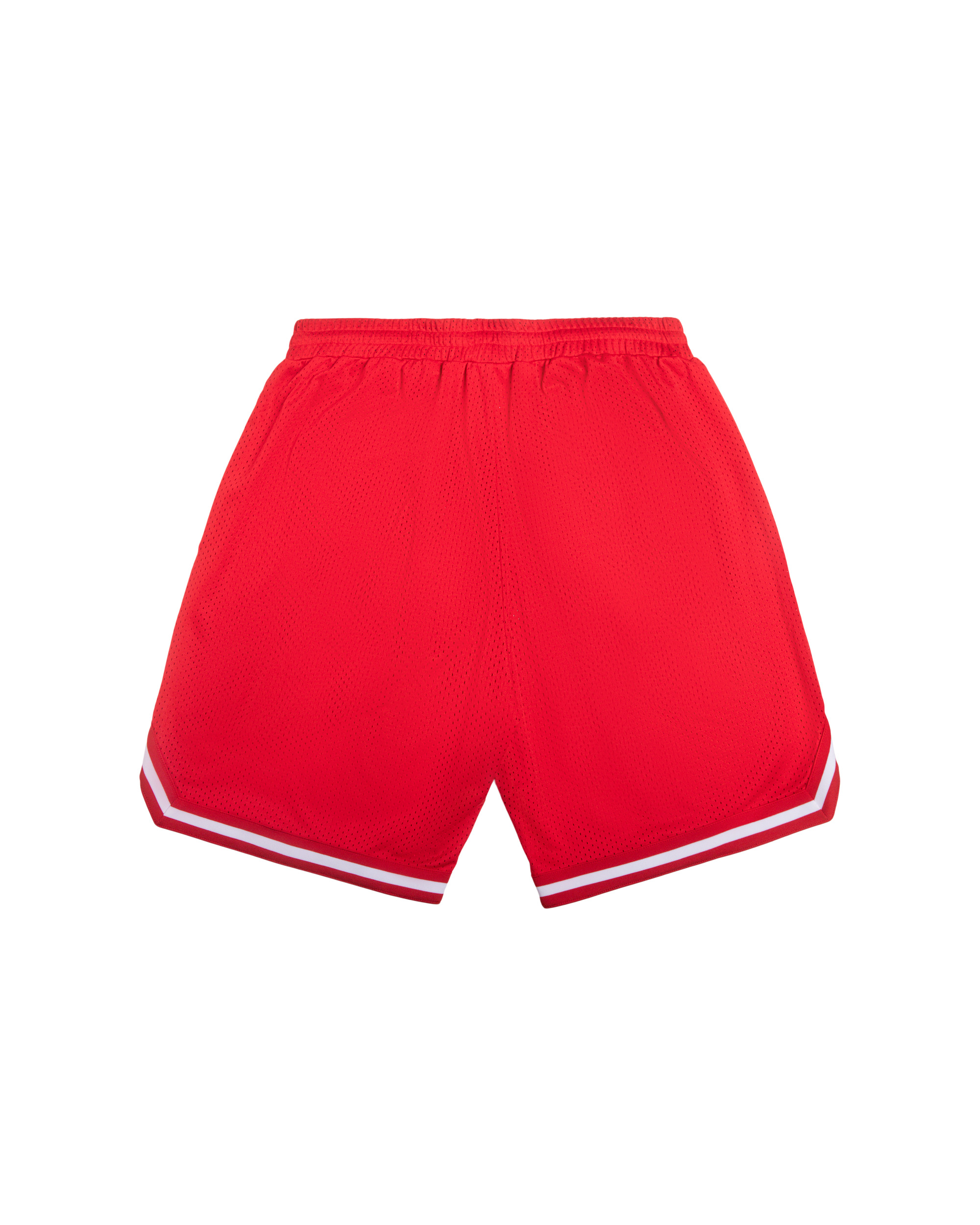 TEAM IC RUNNING DOG BASKETBALL SHORT - 2