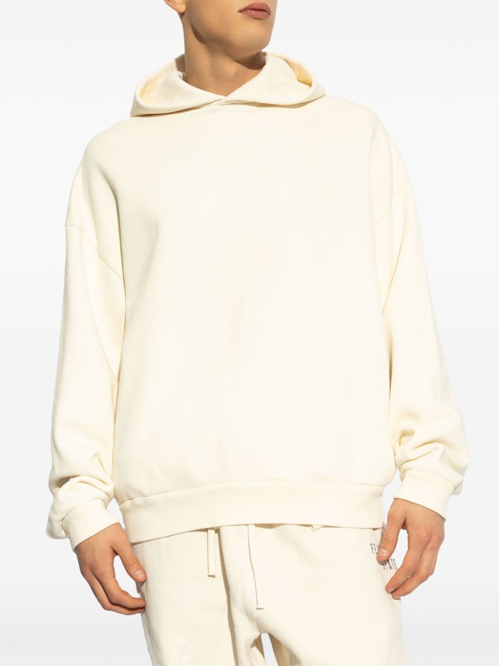 Thunderbird hoodie - 3