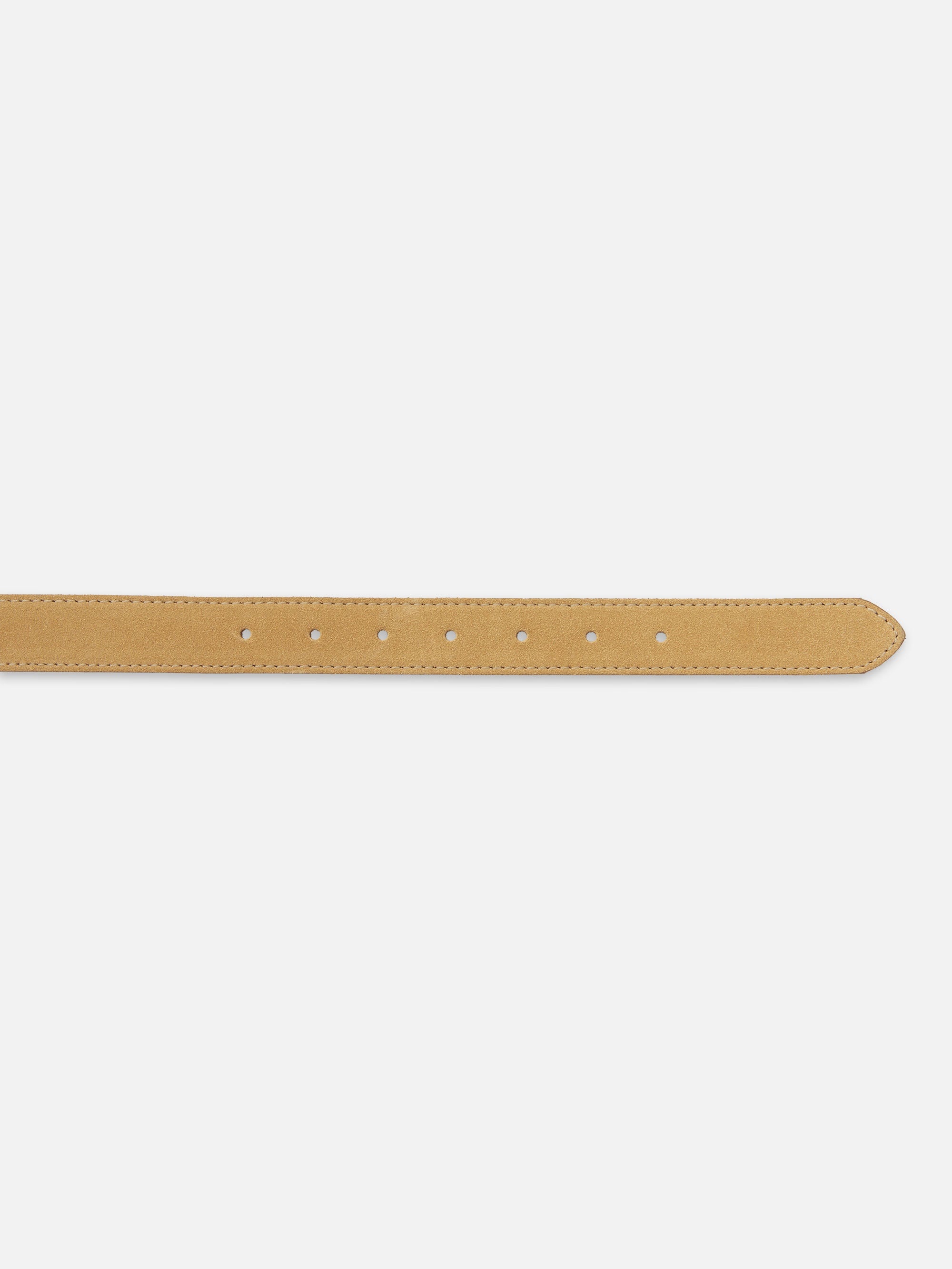 The Suede Square Buckle Belt in Light Camel - 2