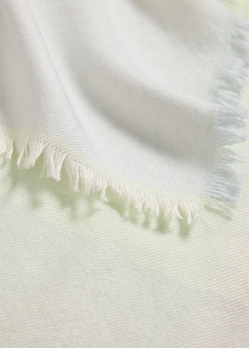 Loro Piana Quadrilatero Del Cashmere-Silk Scarf outlook