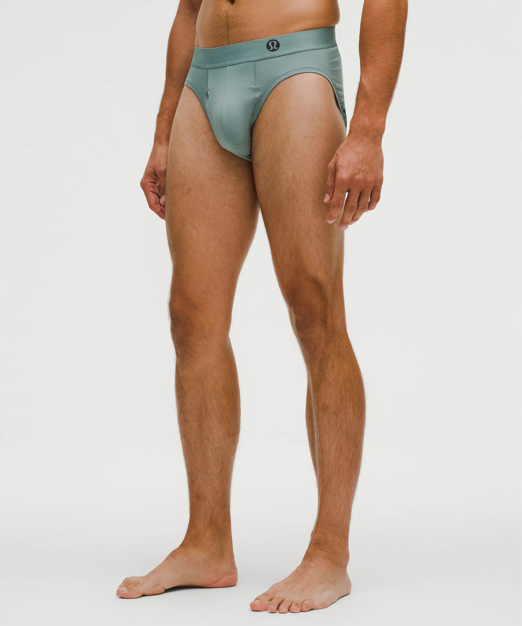 Always In Motion Brief with Fly - 1