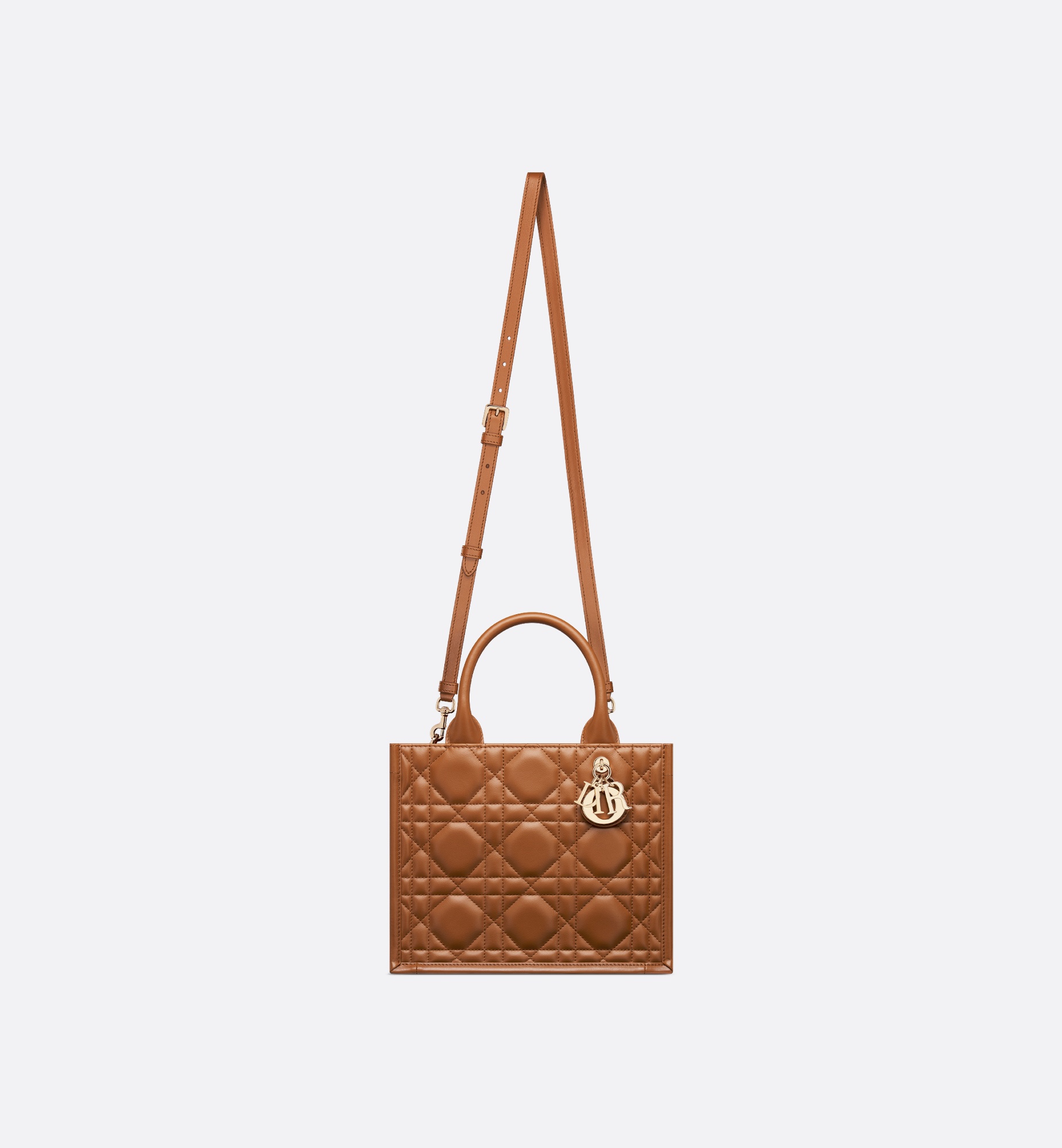 Small Dior Book Tote - 5