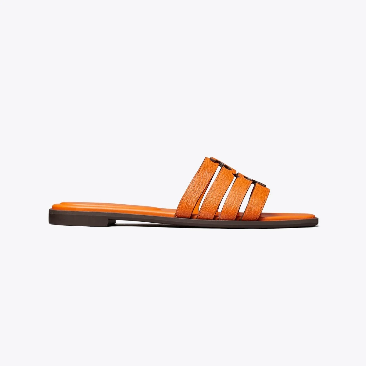 Ines Slide - 1