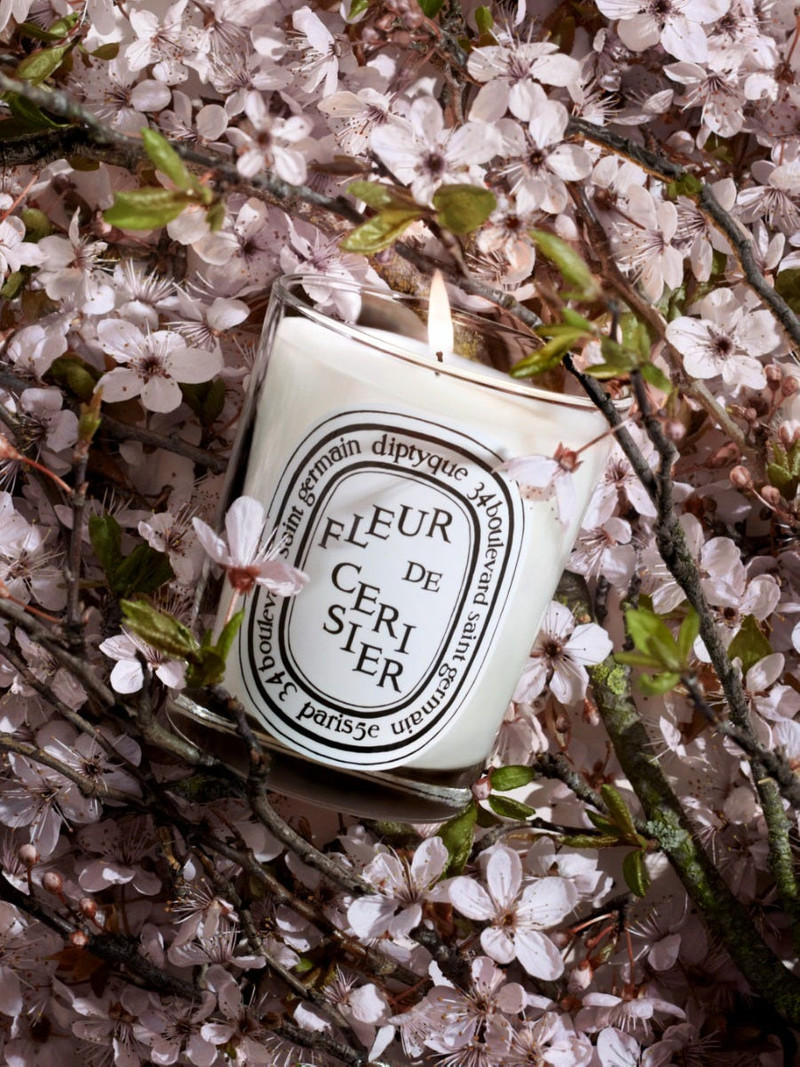 Fleur de Cerisier (Cherry Blossom) - Classic Candle 4