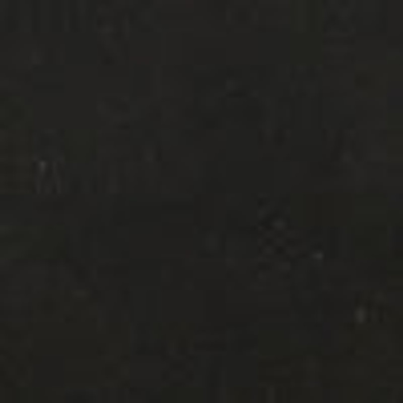 E/W Sofia Bag in Leather 4