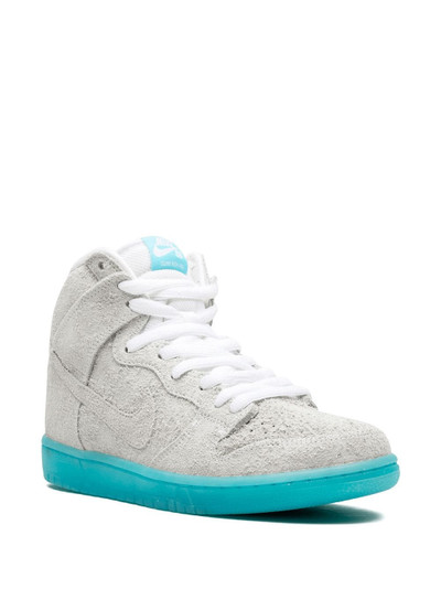 Nike Dunk High Premium SB sneakers outlook