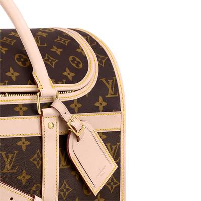 Louis Vuitton Dog Bag outlook