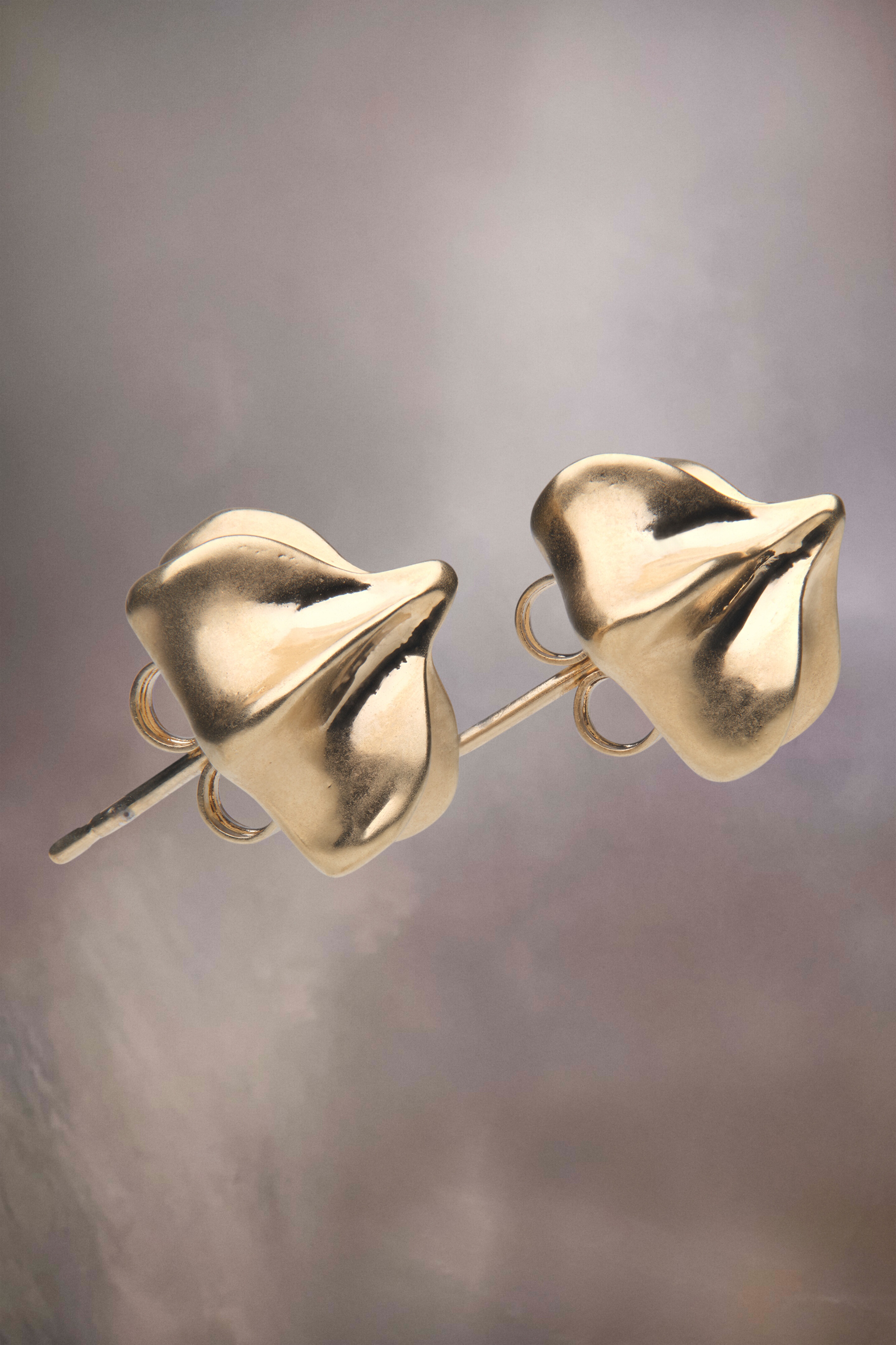 Timeless earrings - 2