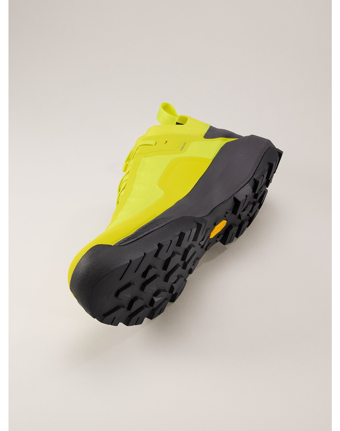 Vertex Alpine GTX Shoe - 5