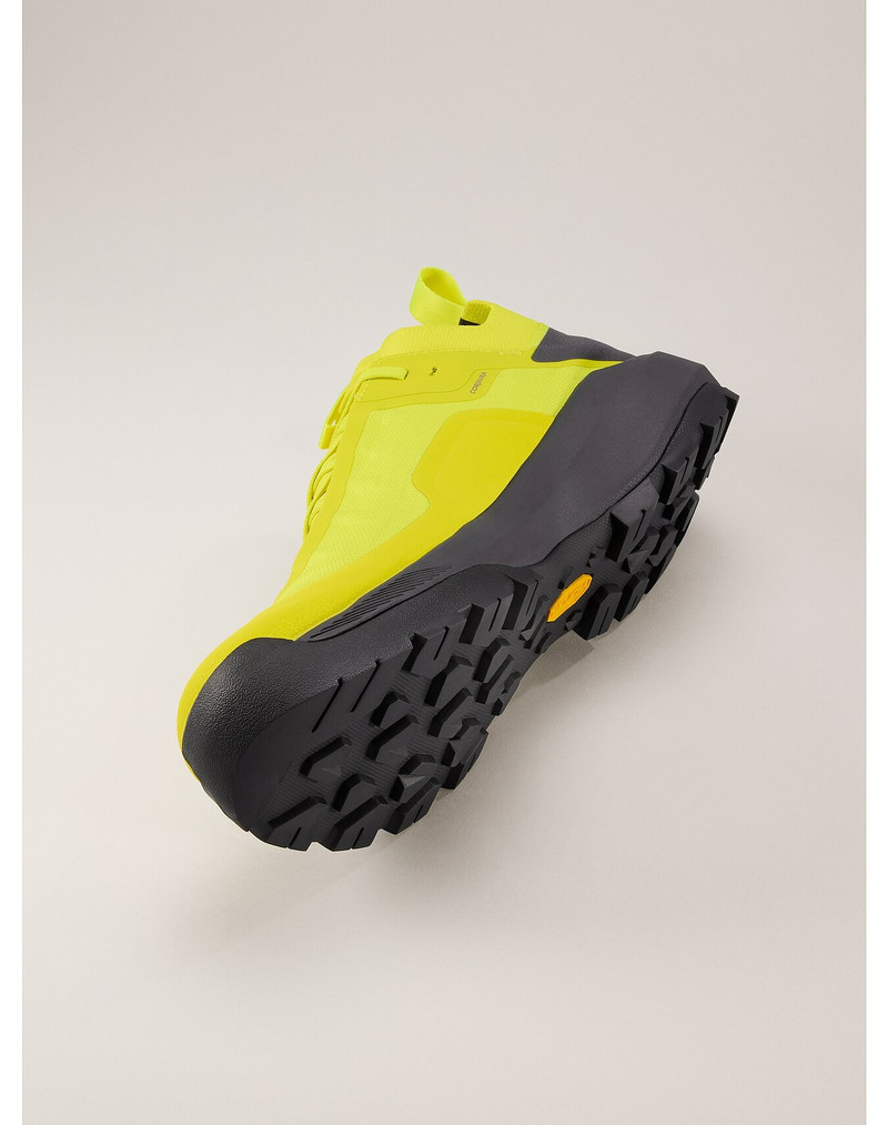 Vertex Alpine GTX Shoe 5