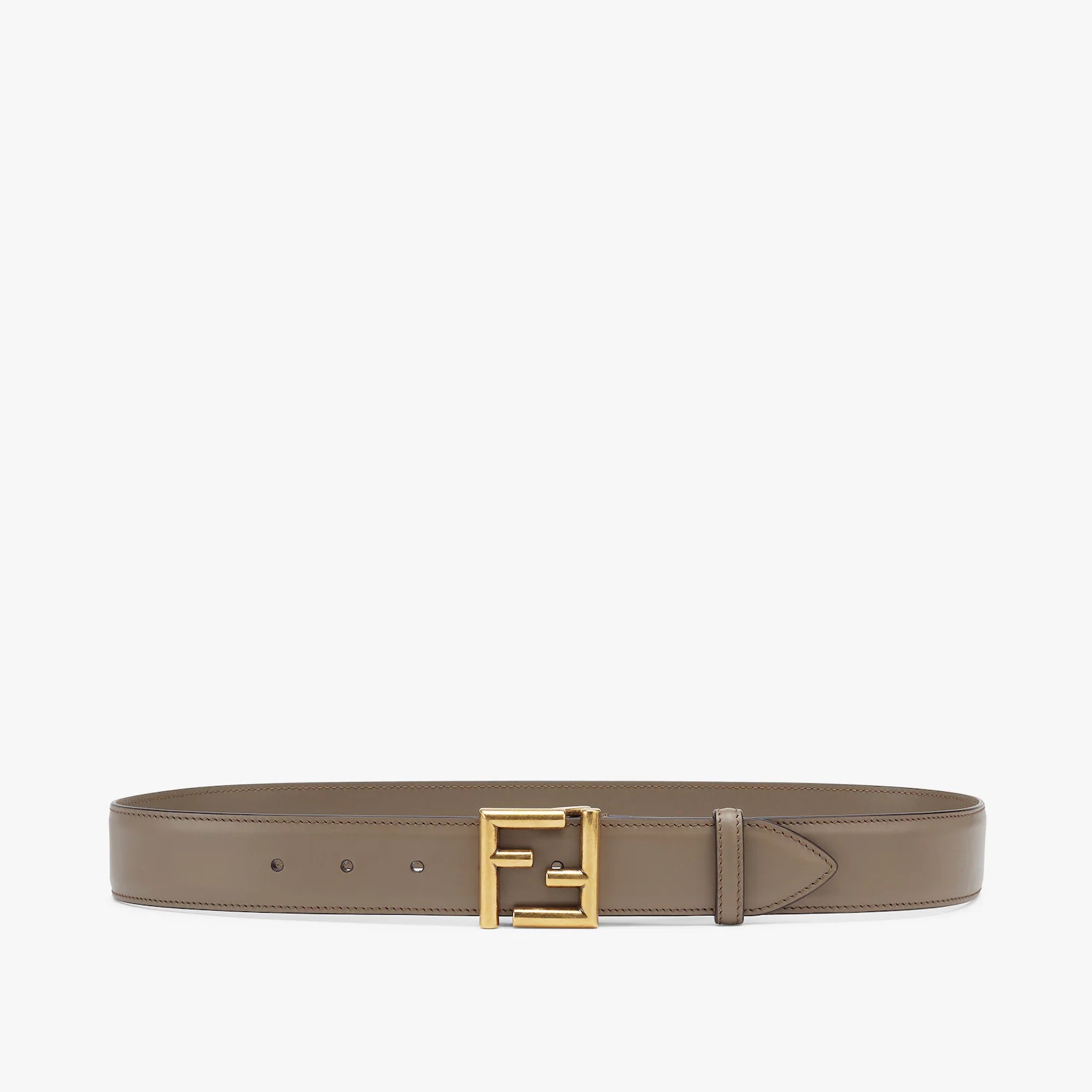 FF Belt - 1