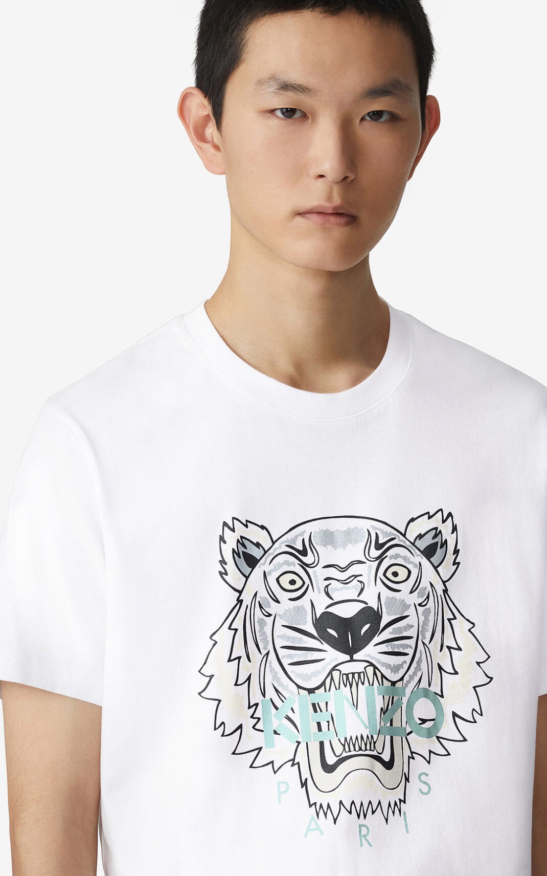 Tiger t-shirt - 3