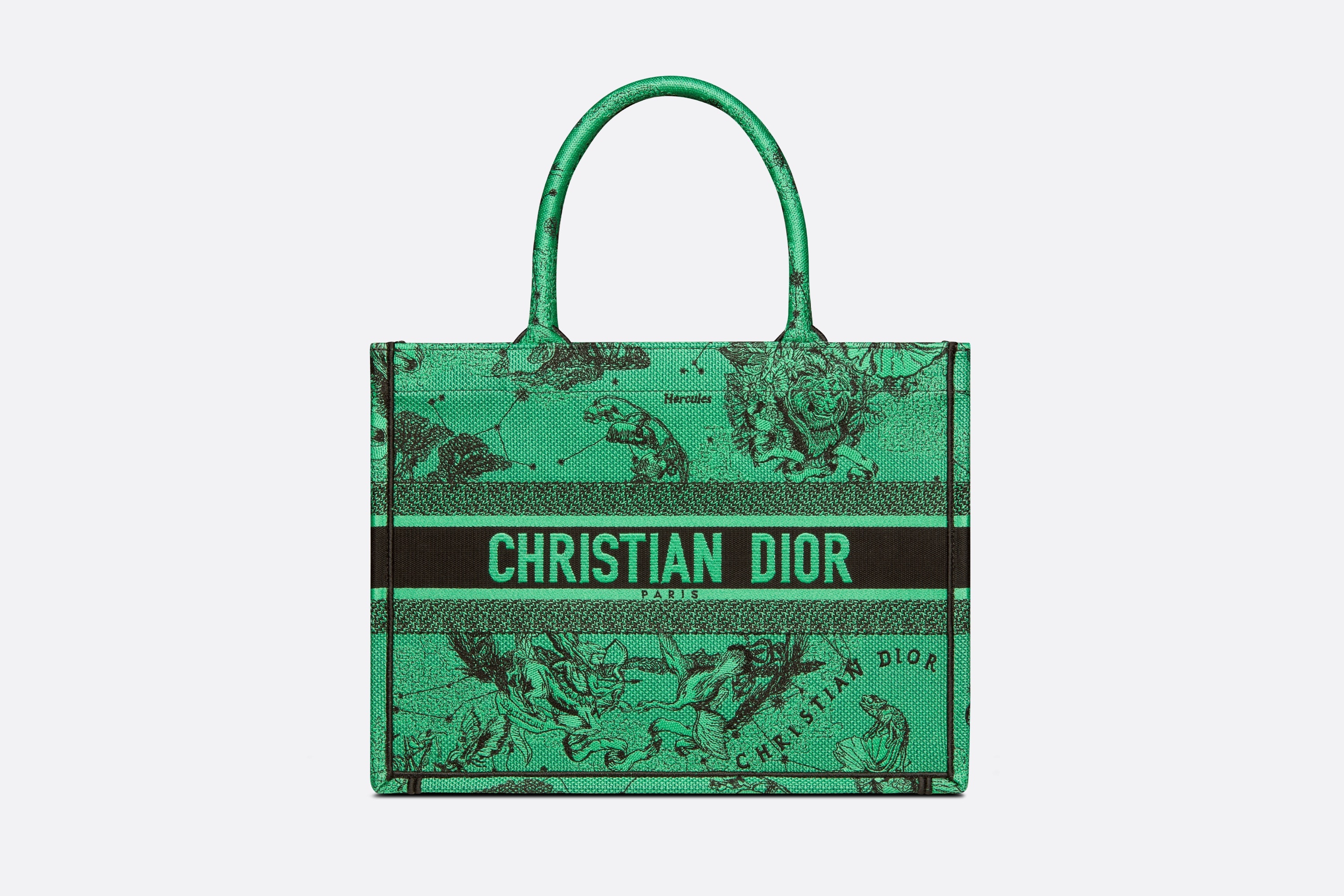 Medium Dior Book Tote - 1