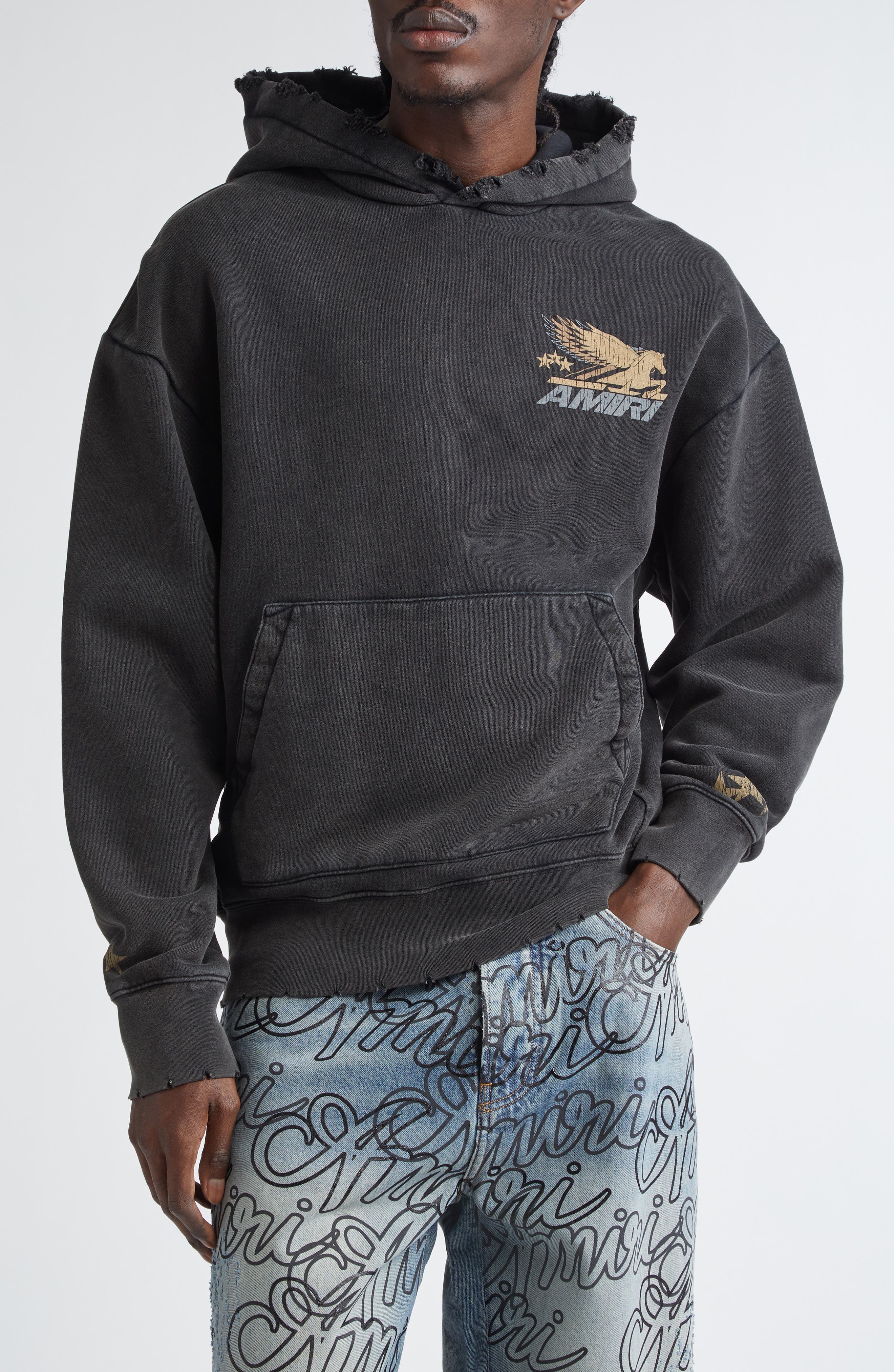 AMIRI Pegasus Distressed Cotton Graphic Hoodie in Black at Nordstrom - 1