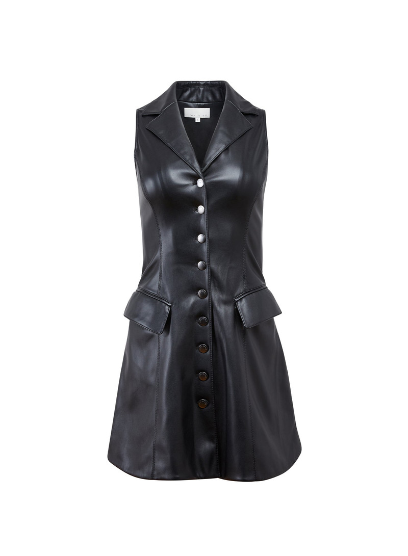 Harley Dress 1