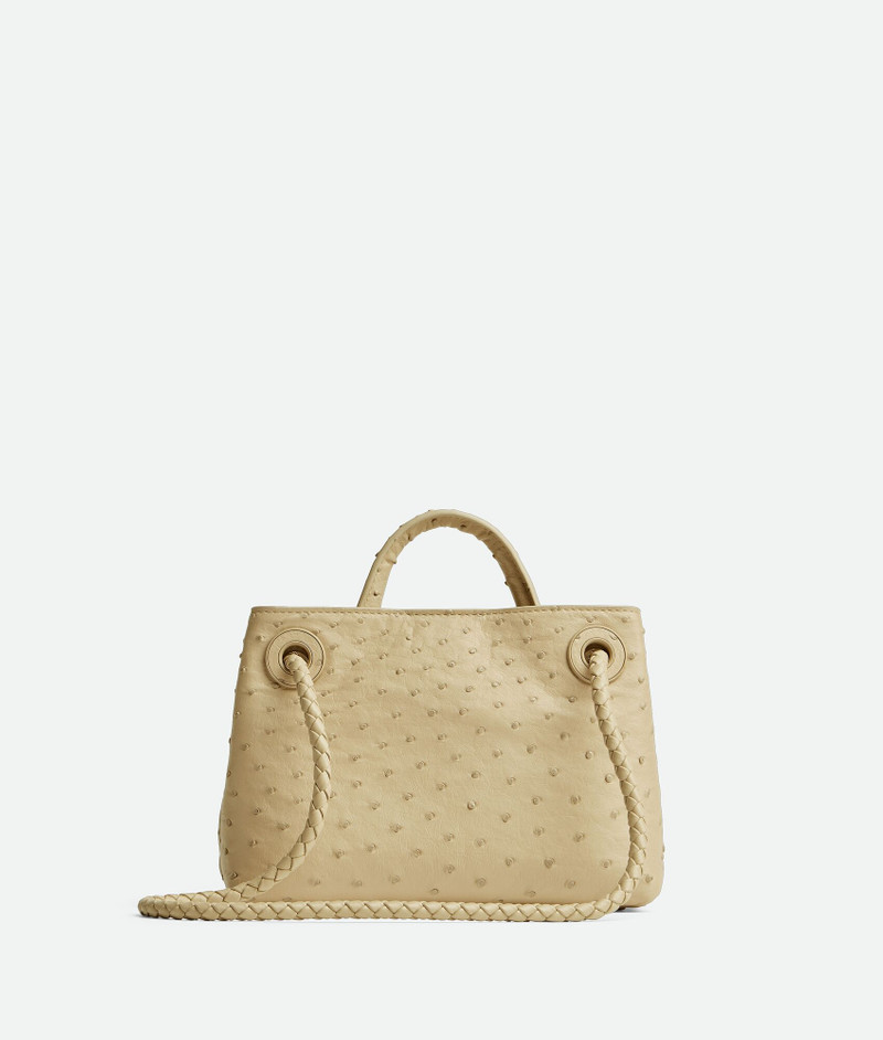 Bottega Veneta Mini Andiamo outlook
