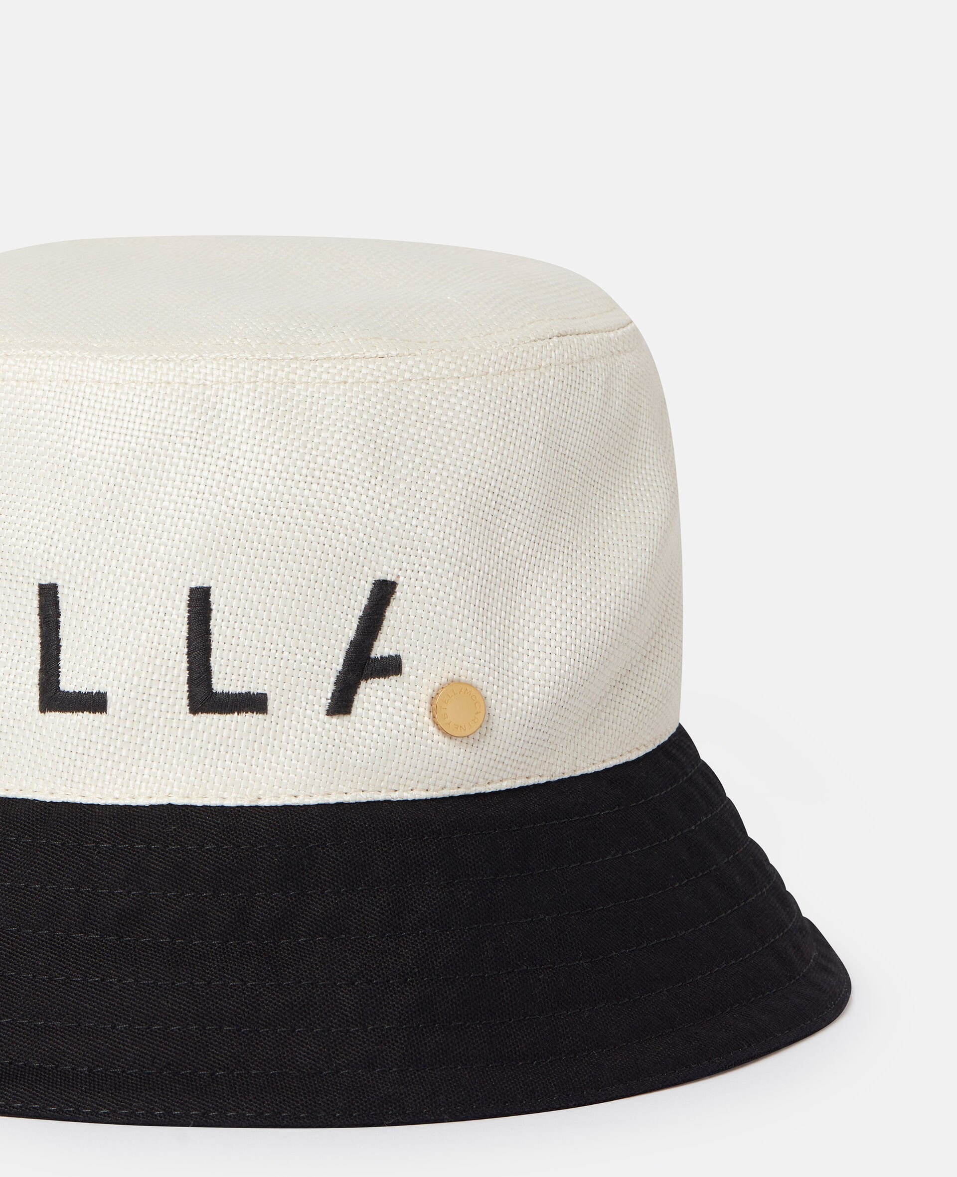 Logo Monochrome Visor - 3