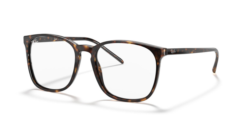 RB5387 OPTICS 1