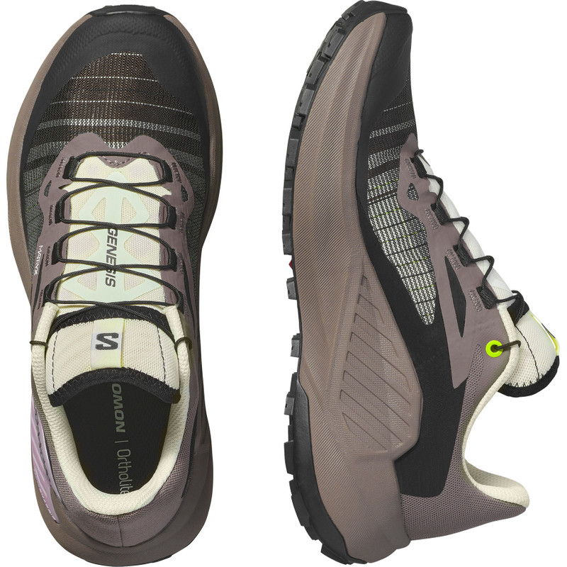 SALOMON GENESIS outlook