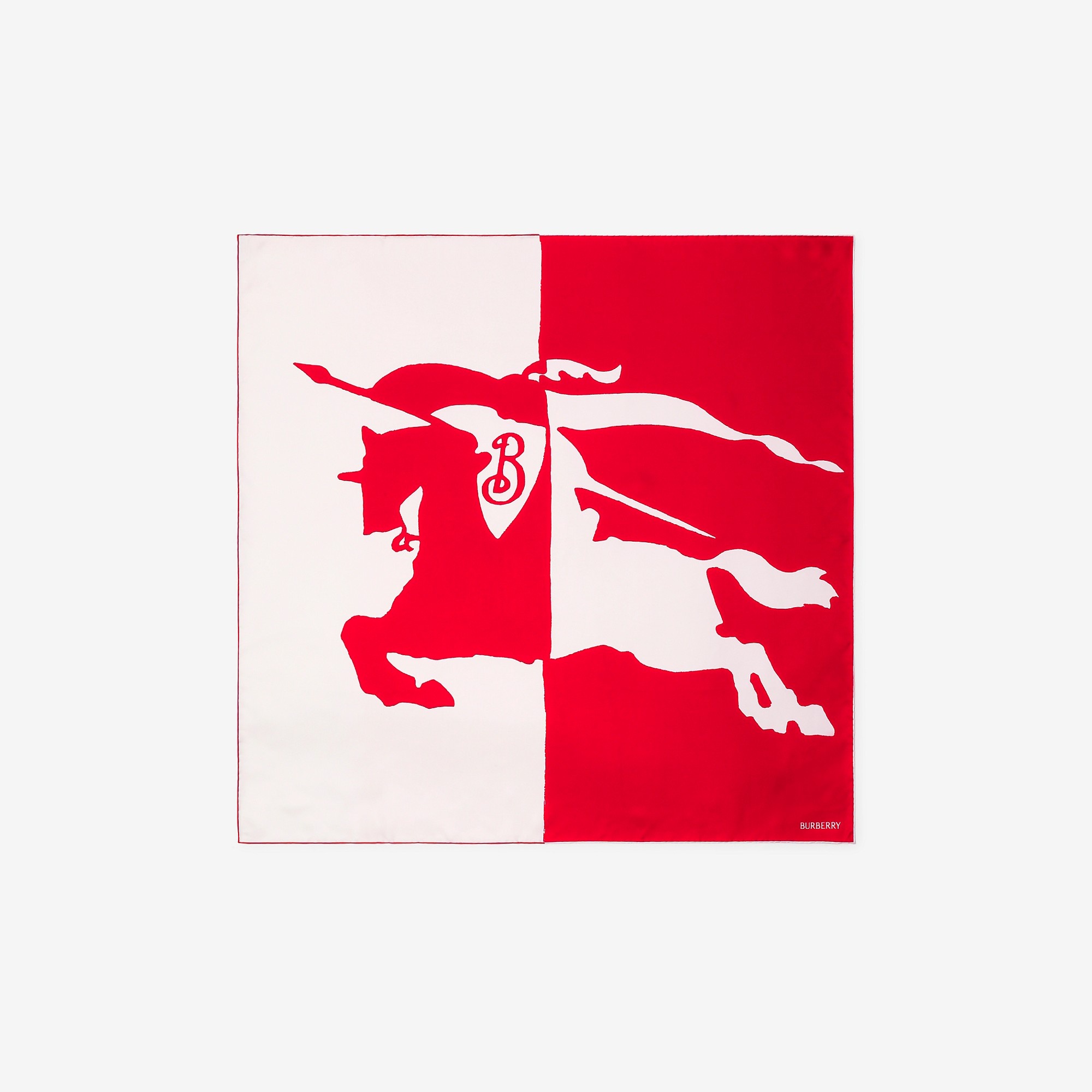 EKD Silk Scarf - 1