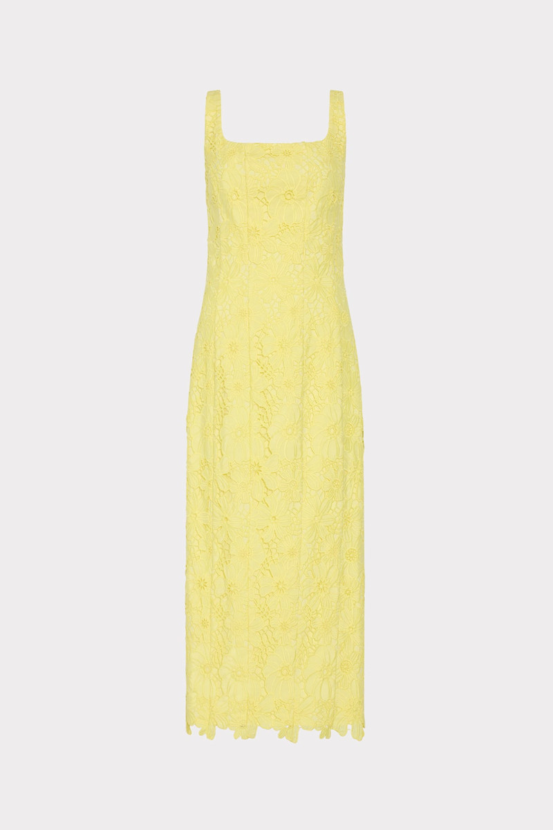 Izel Lace Midi Dress 1