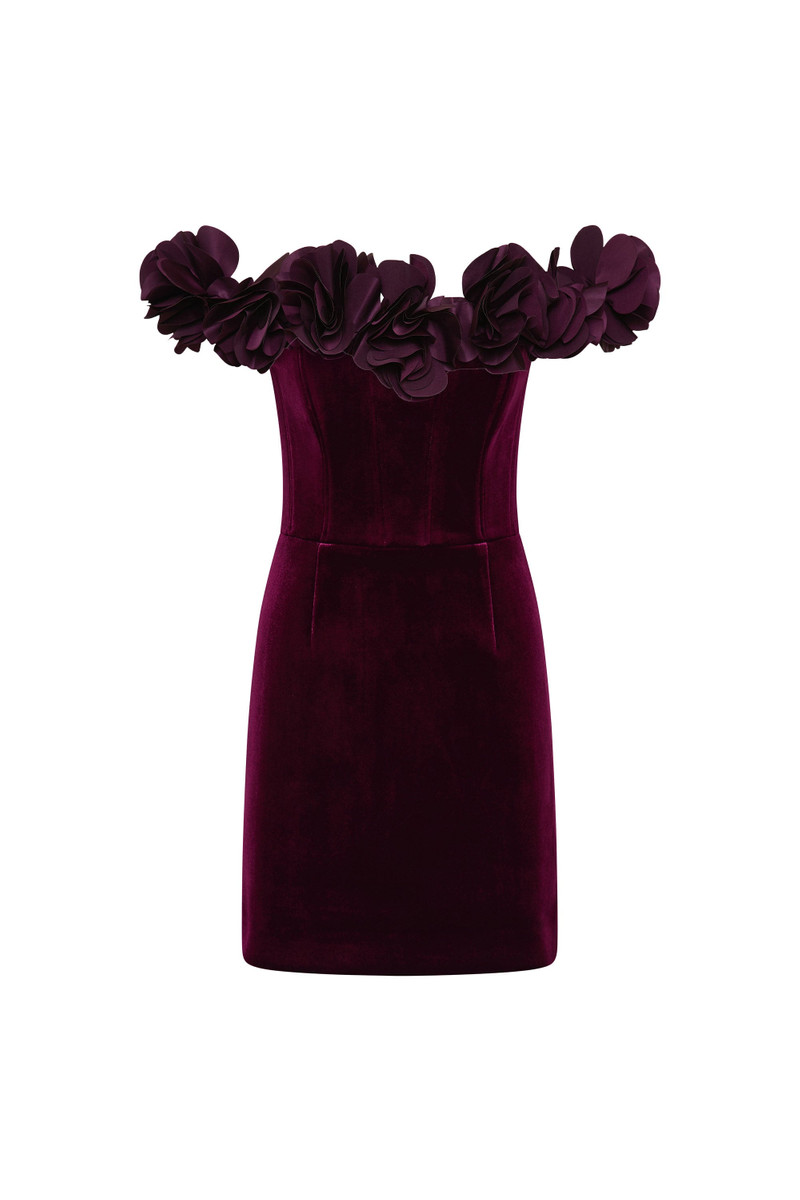 Charles Mini Dress 1